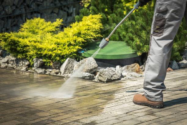 Best Dumpster Area Cleaning  in Coronado, CA